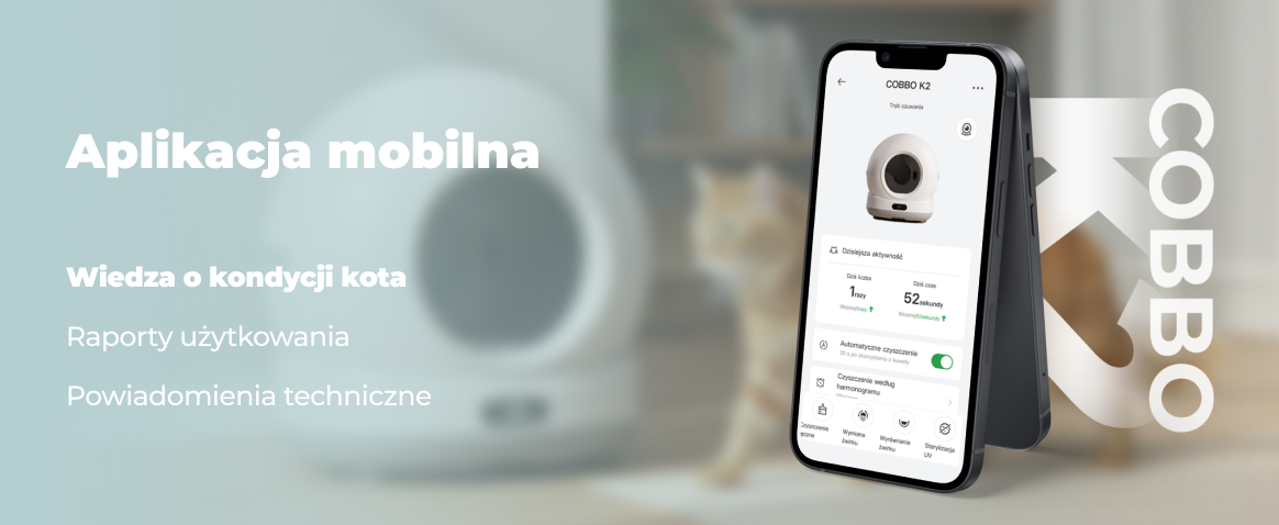 regularne statystyki grafika