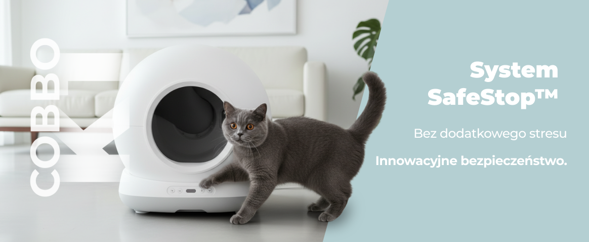 szary kot obok kuwety k1